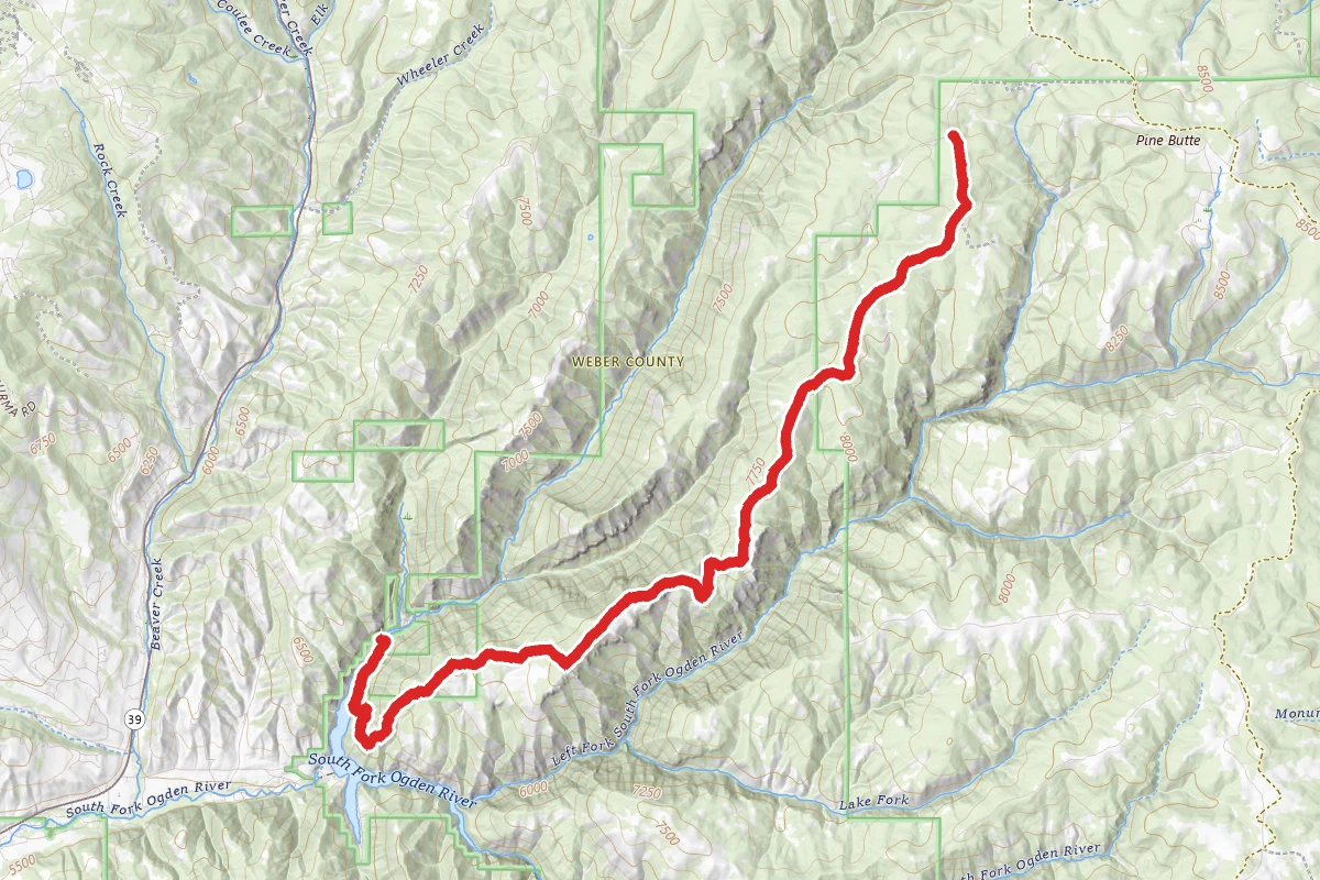 Baldy Ridge Trail