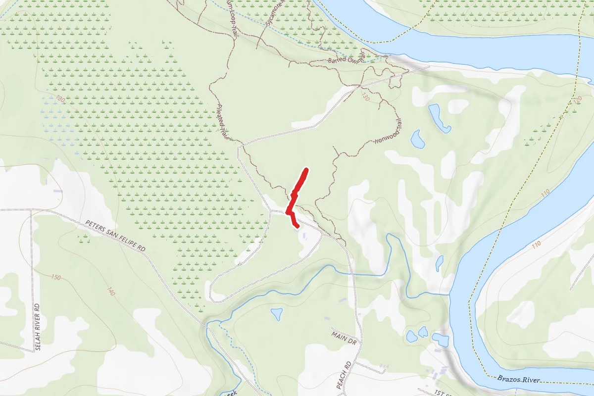 Stephen F. Austin Nature Trail