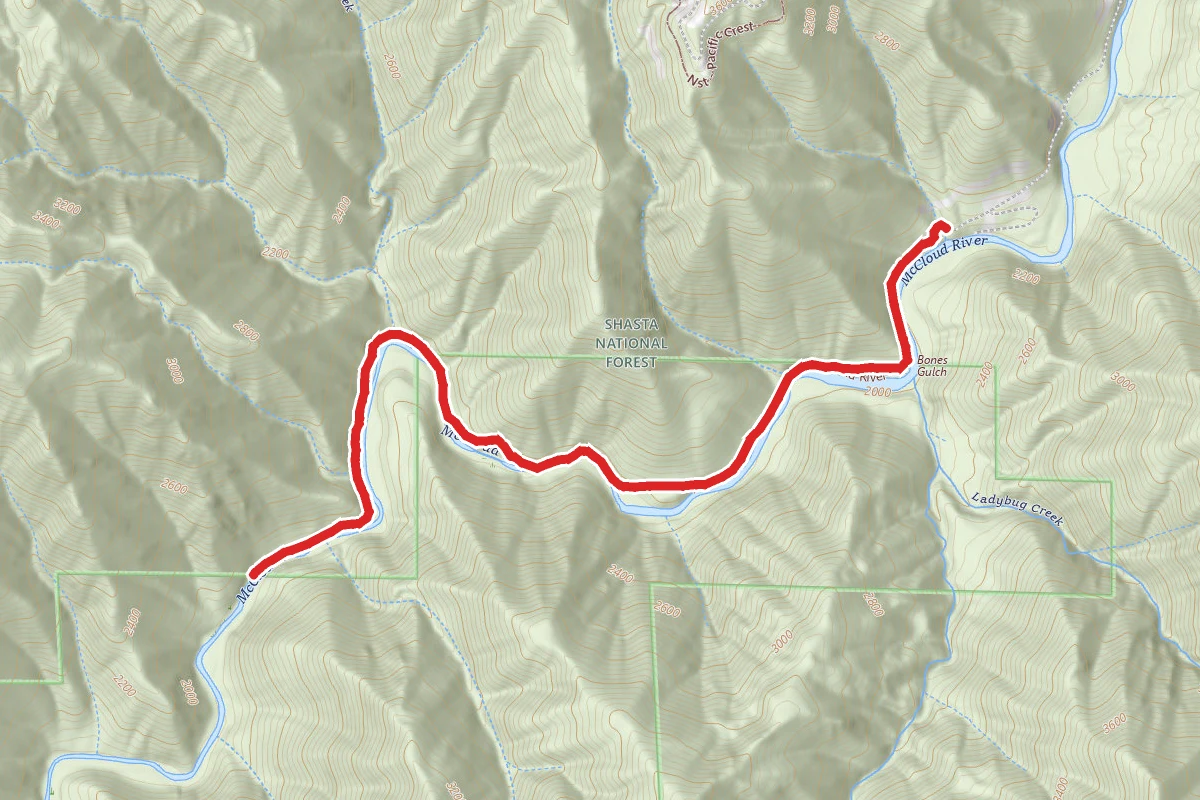 McCloud River Preserve Trail
