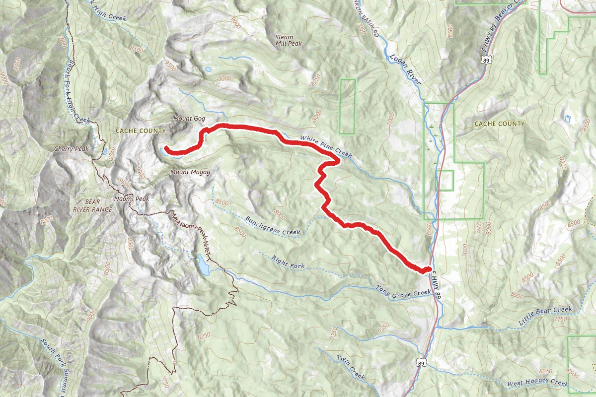 Bunchgrass Creek to White Pine Creek