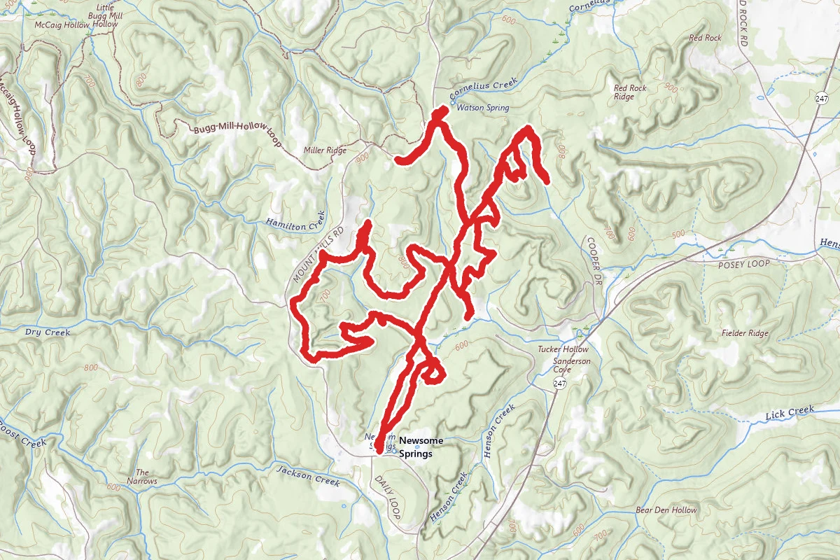 Newsome Springs Loop