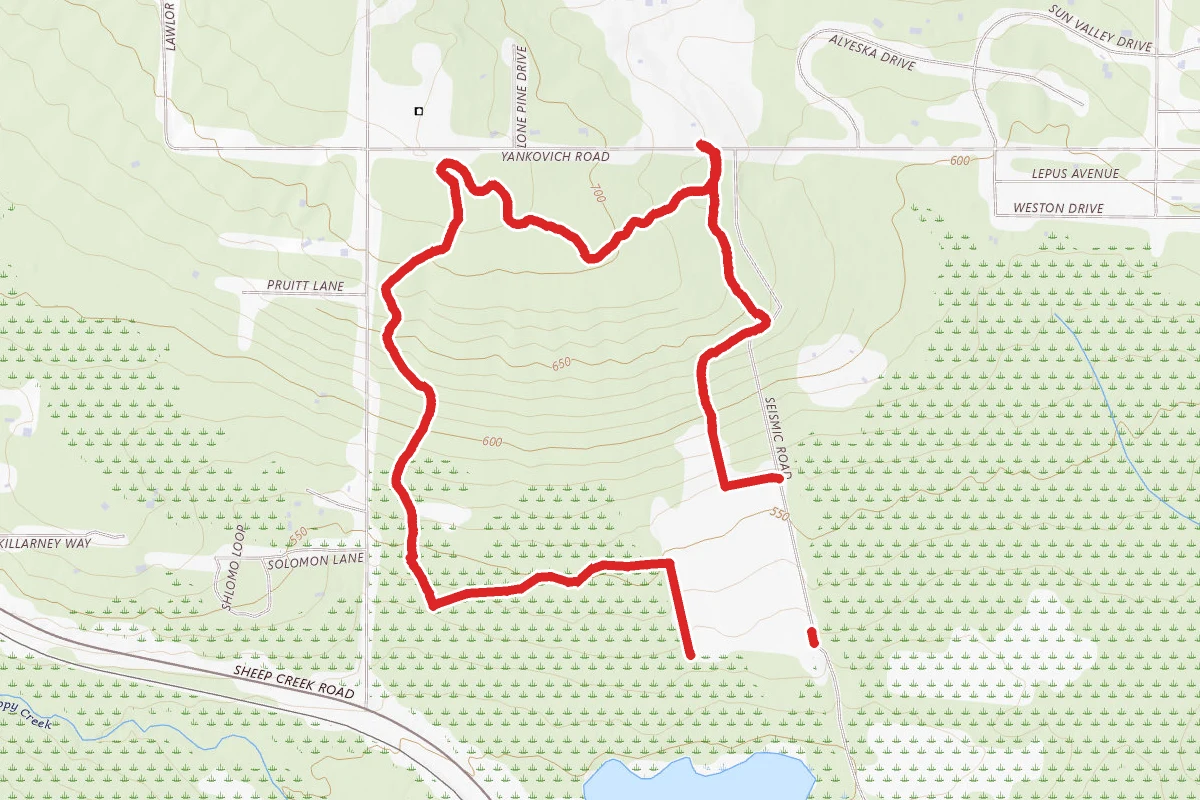 Powerline Loop