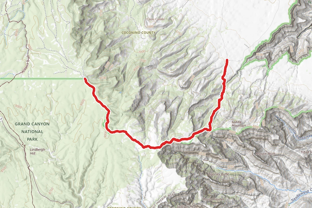 Dog Saddle to Saddle Mountain Trail