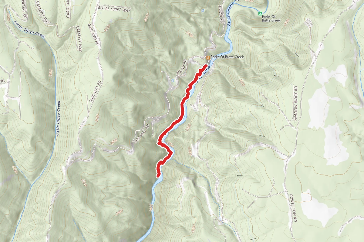 Butte Creek