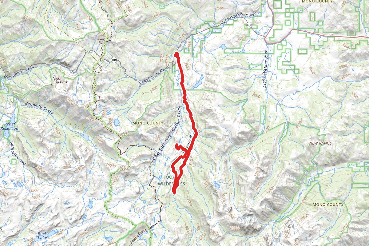 Paiute Meadow and Fremont Lake