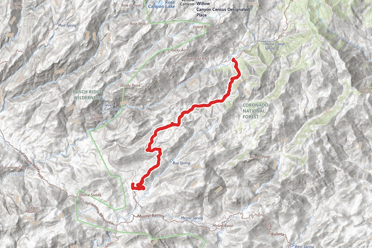 Bug Springs Trail