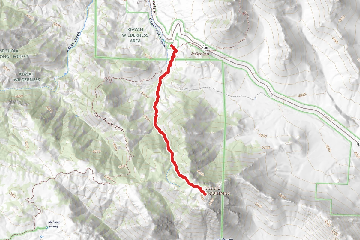 Scobie Mountain via Canebrake Creek