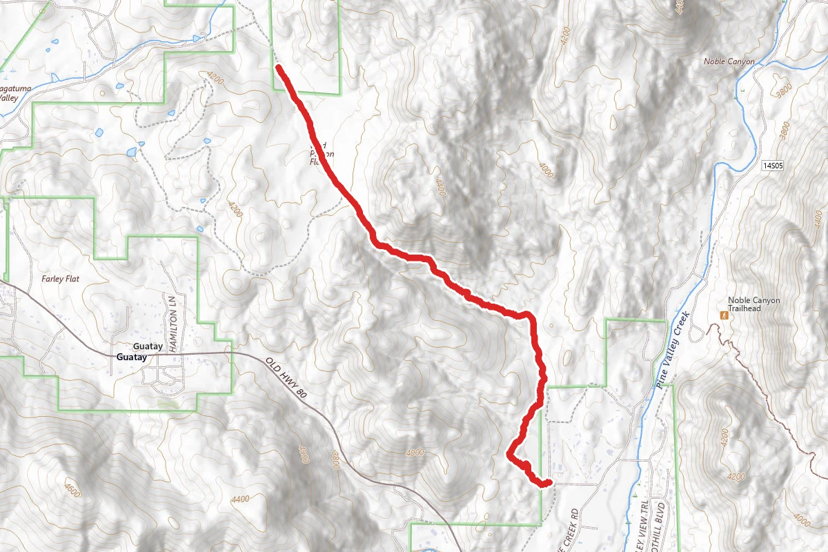 Wild Pigeon Flat Trail