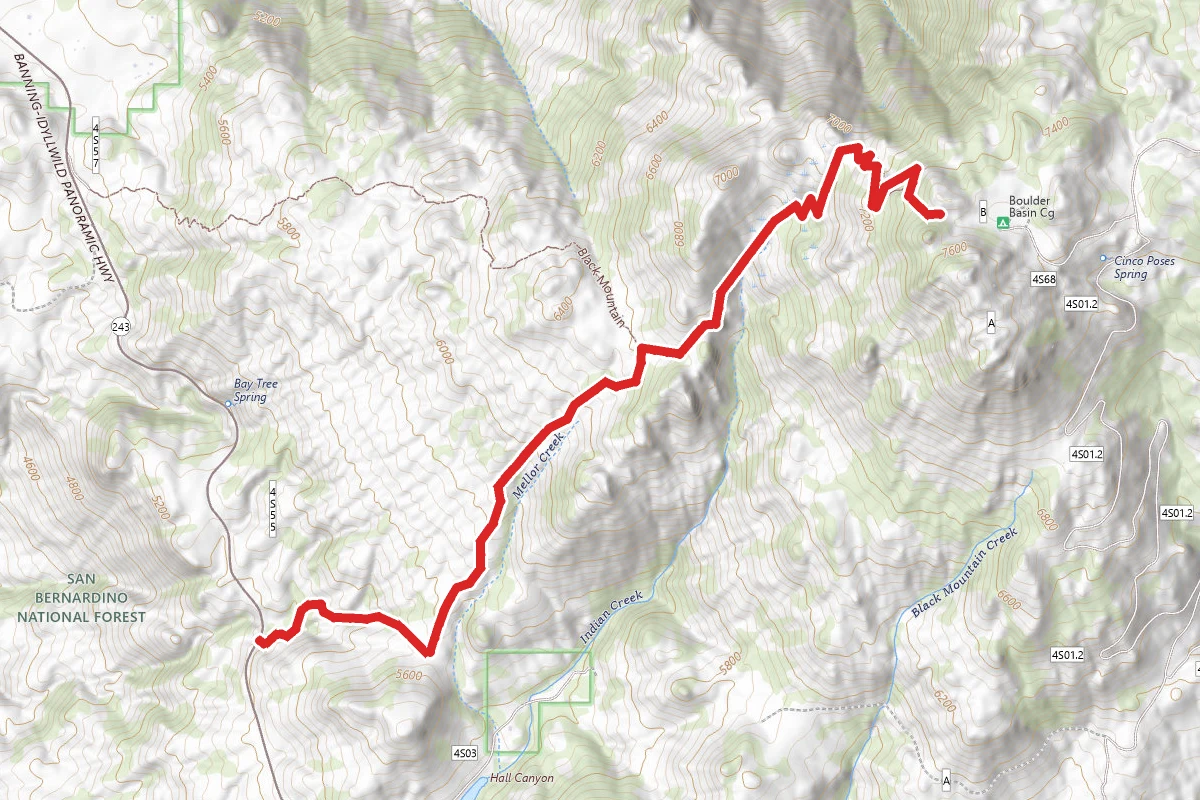 Cinco Poses Trail