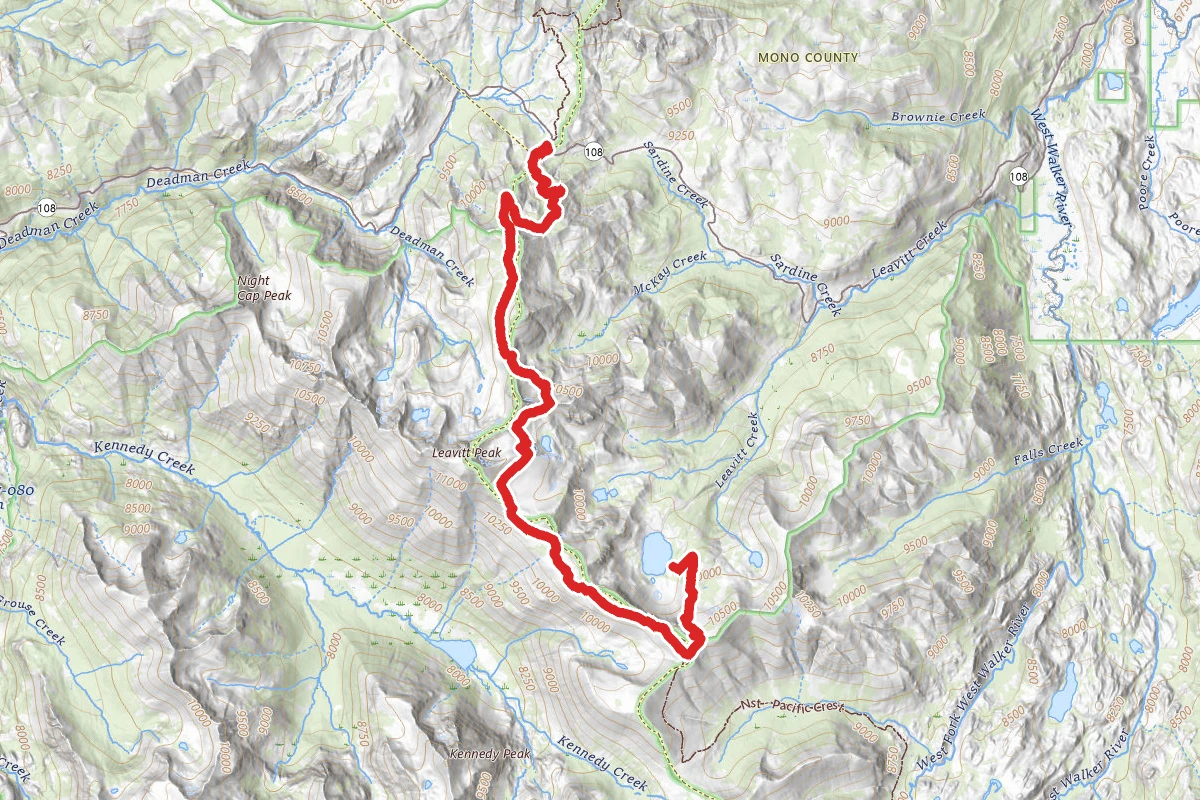 Sonora Pass to Leavitt Lake via PCT