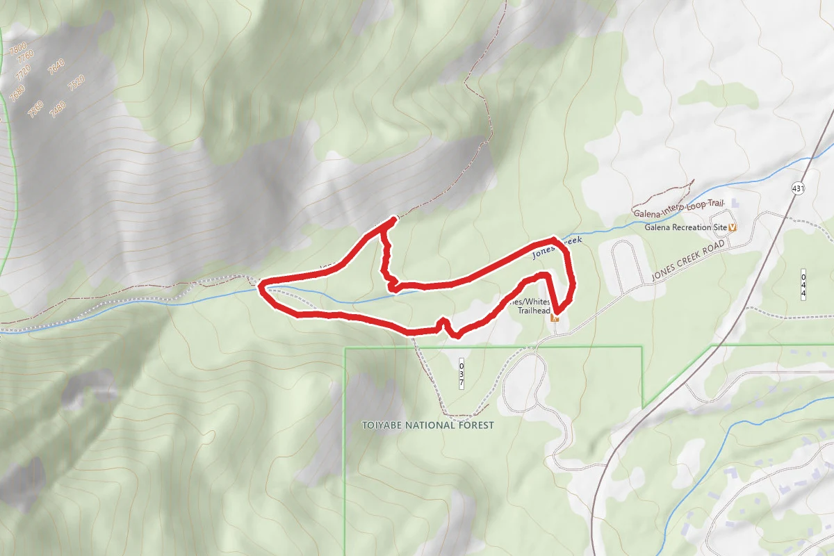 Jones Creek Loop