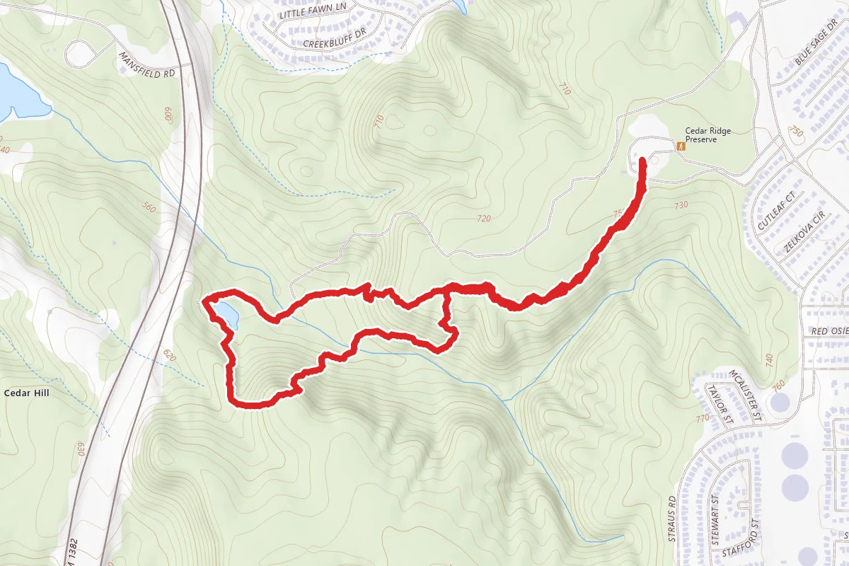 Cattail Pond Loop