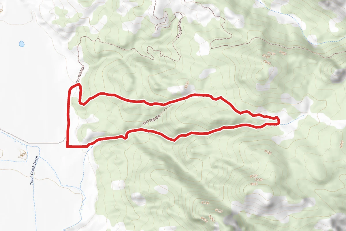 Carnage Canyon 6042 OHV Loop