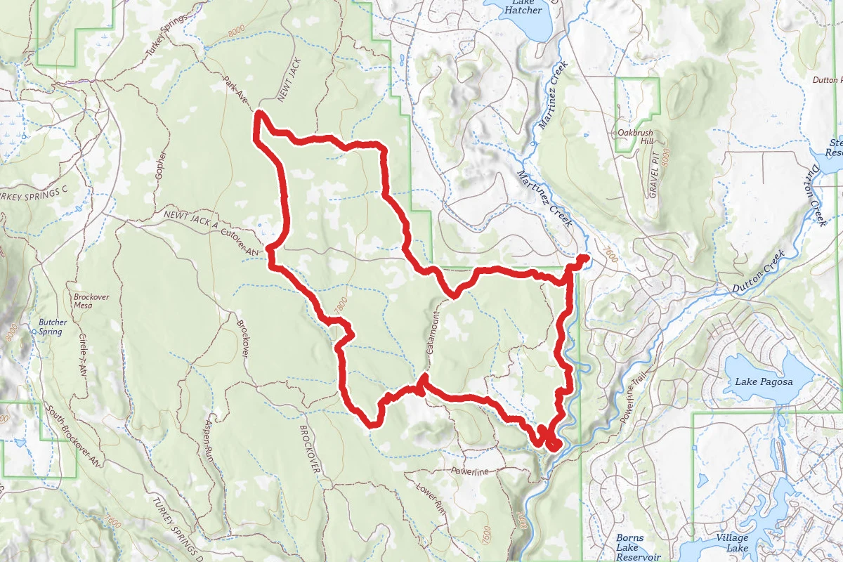 Newt Jack, Catamount, Round Park, Creek, Upper Loop