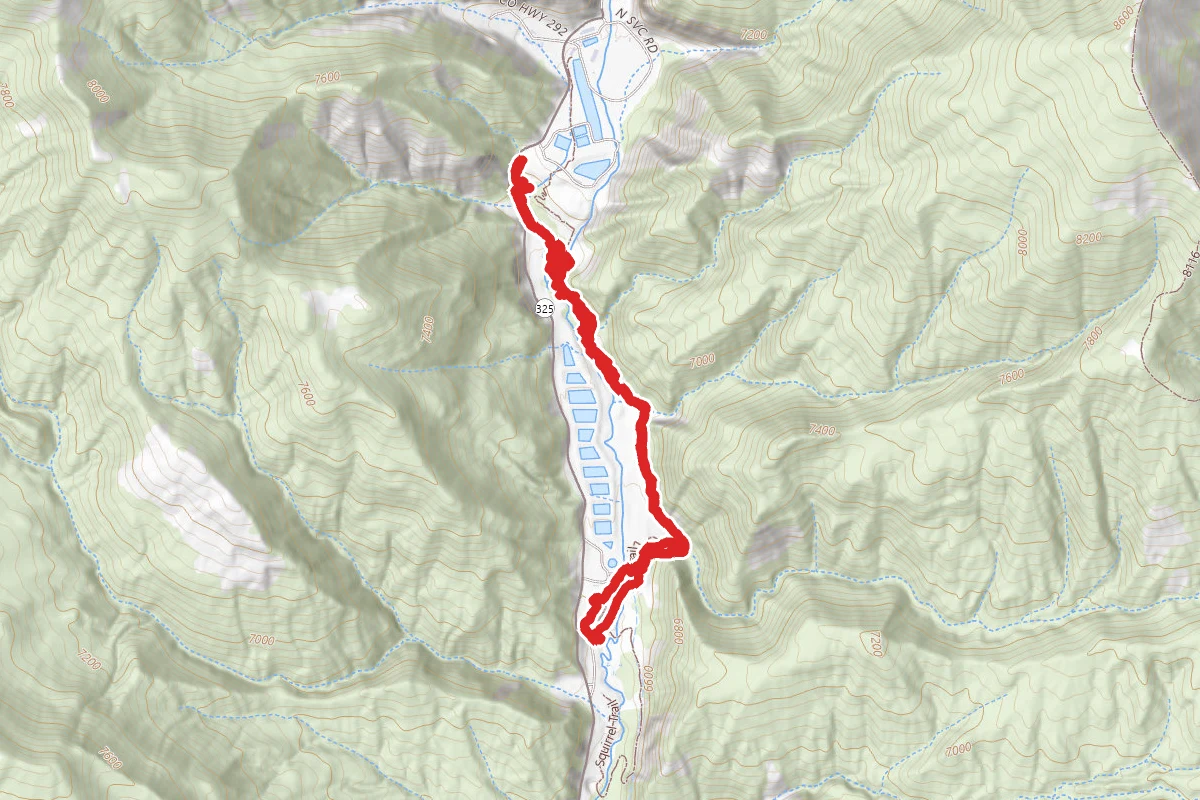 Bob Cat and Coyote Trails