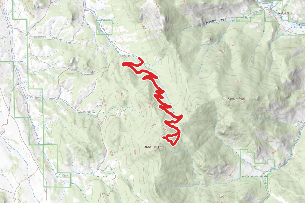 Puma Peak