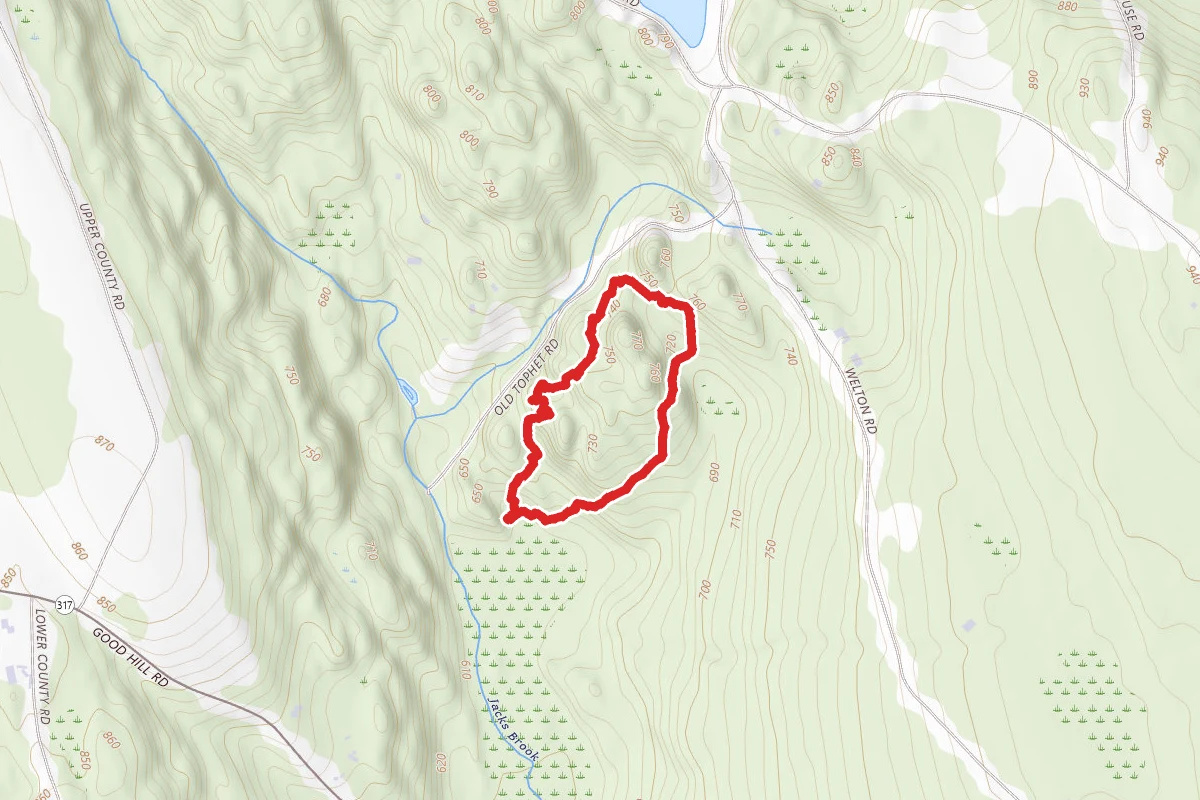 Lilly Preserve Red Loop