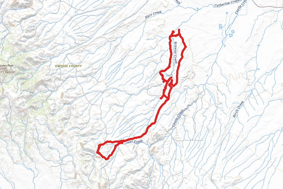 Oreana, Brown's Creek and Alder Creek OHV Trail