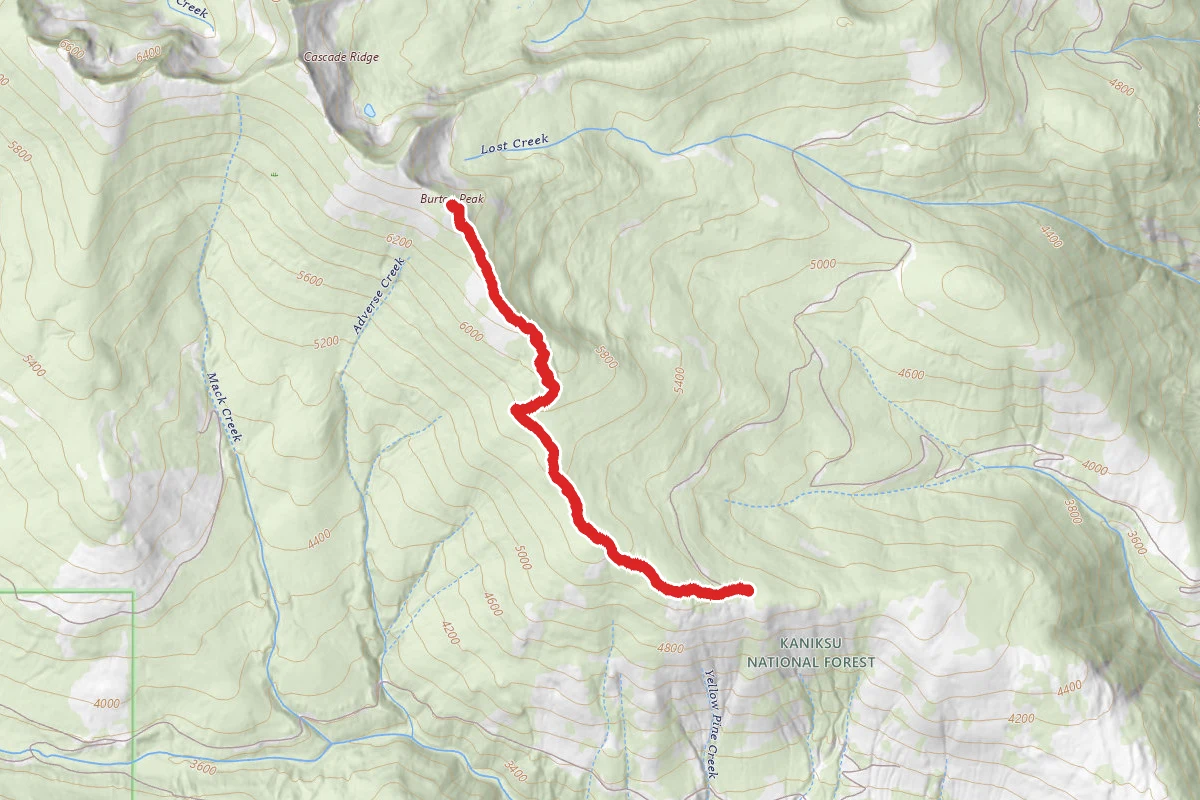 Burton Peak