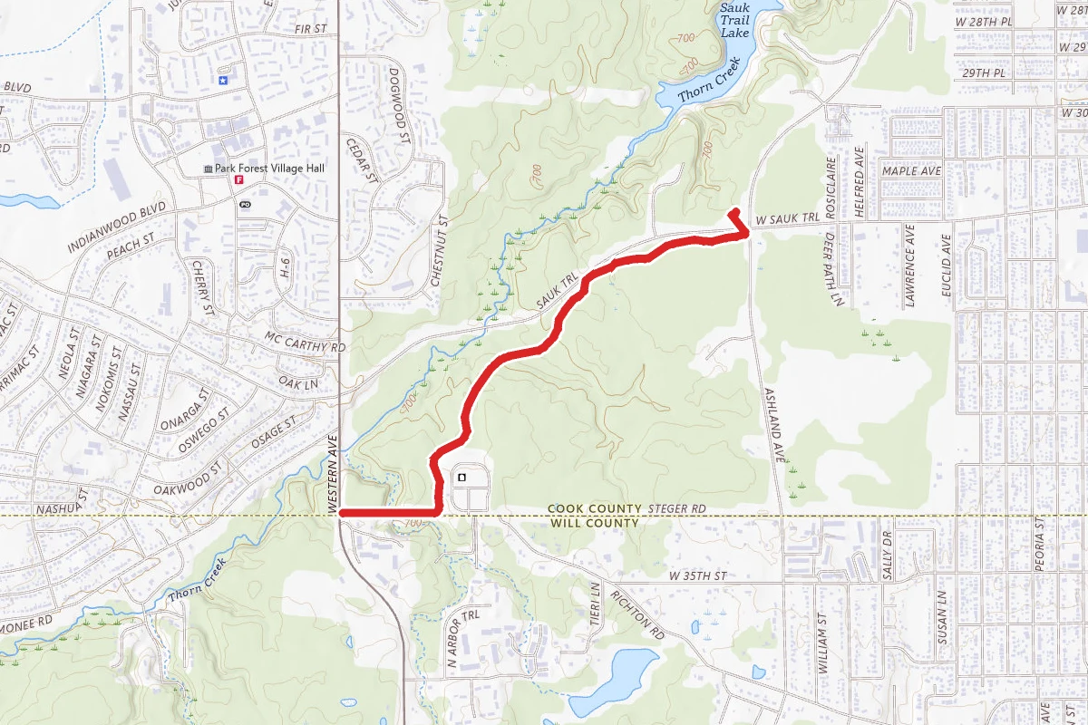 Thorn Creek Purple Trail