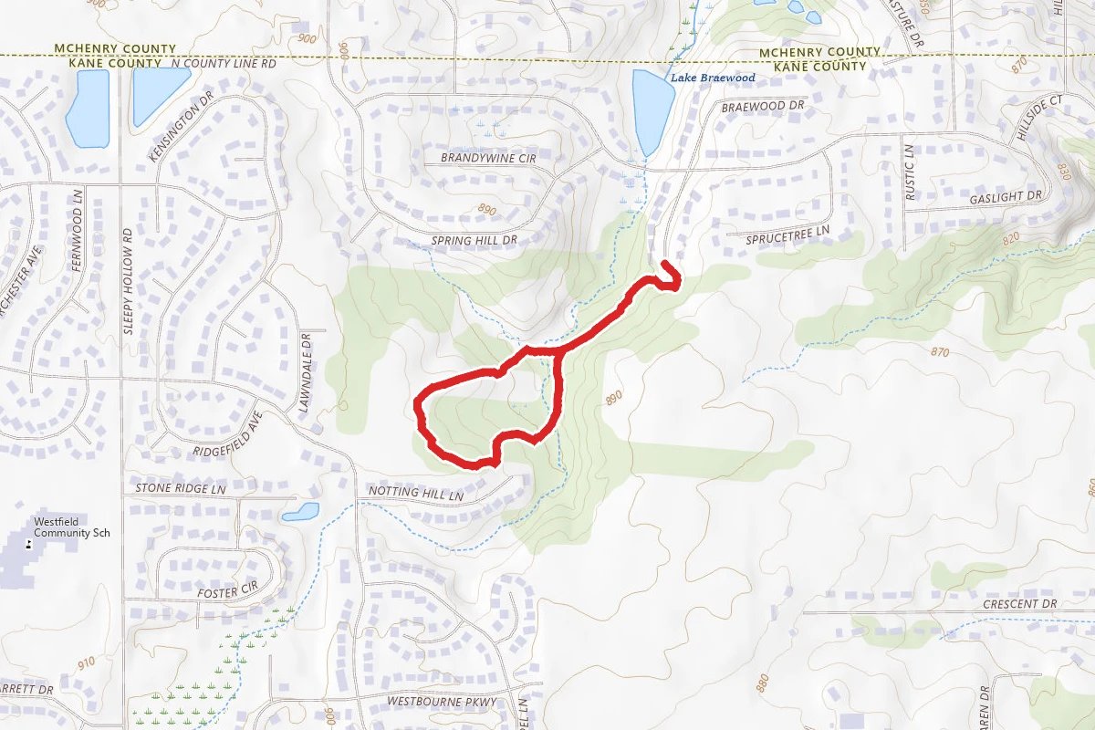 Dixie Briggs Purple Trail Loop
