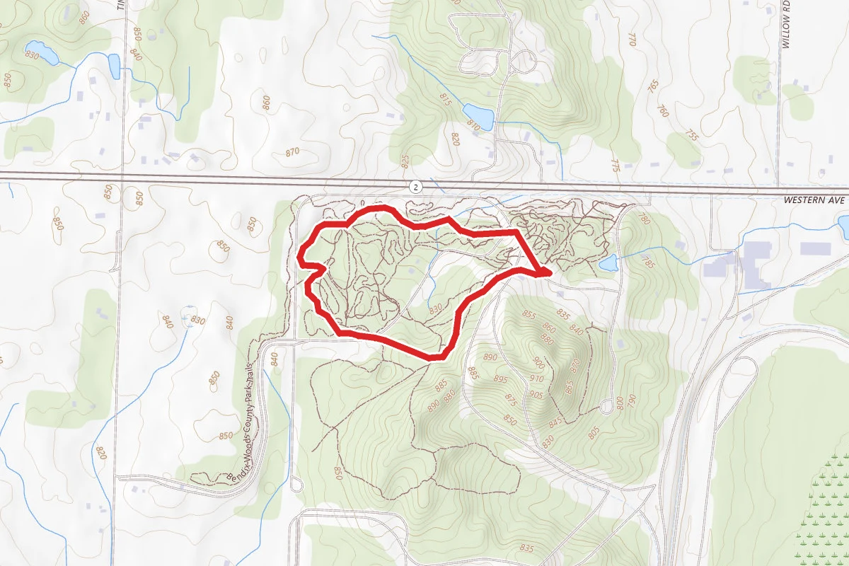 Raccoon Run