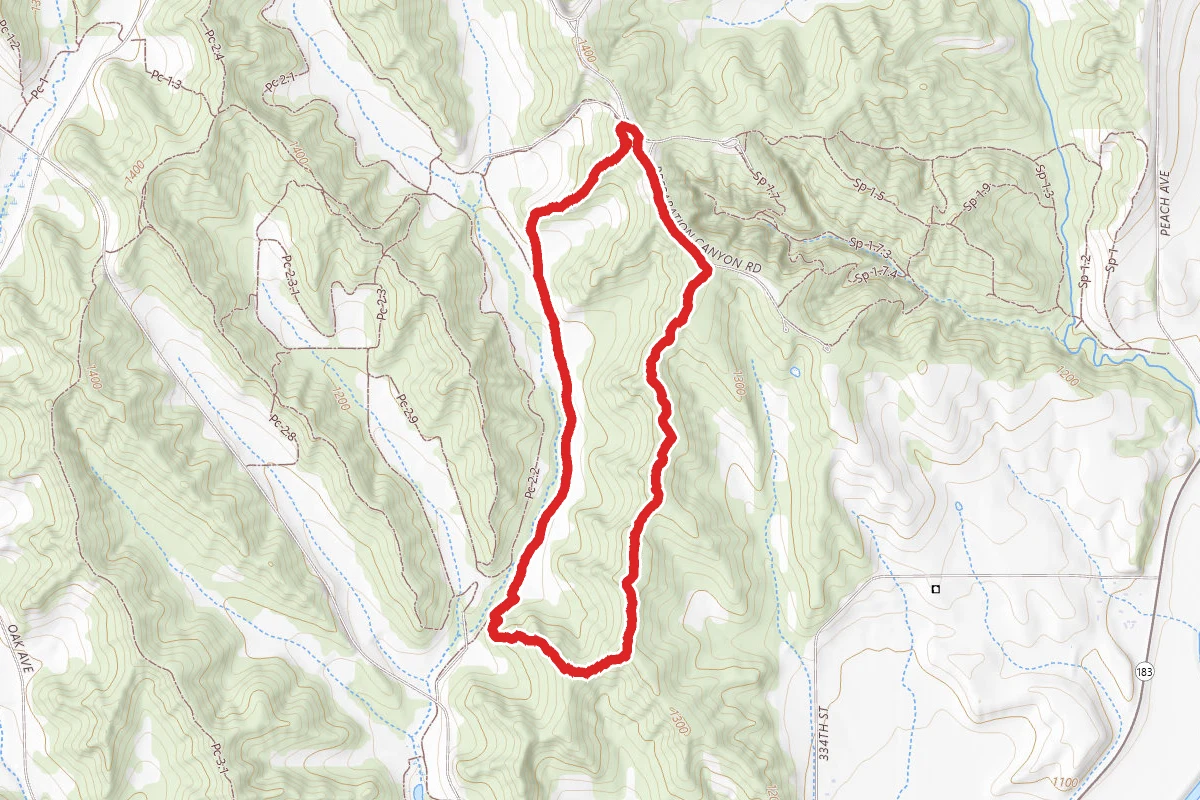 Sarah's Trail