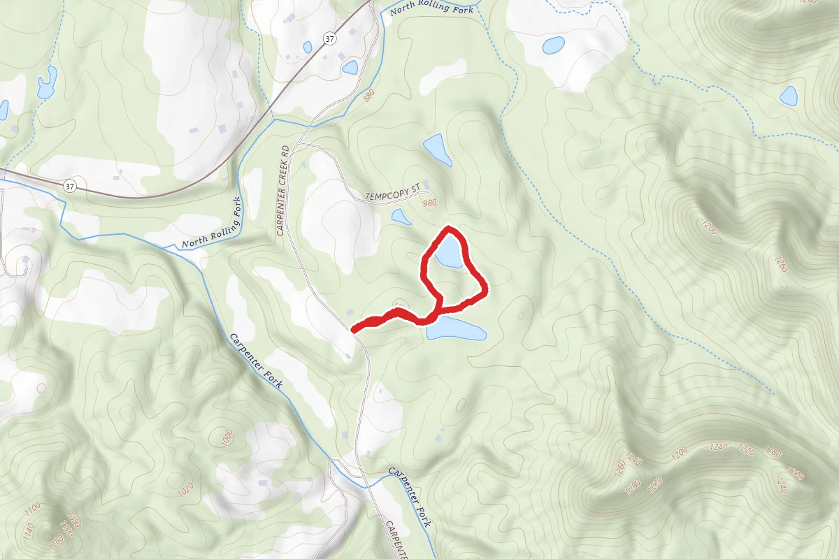 Woodland Pond Trail