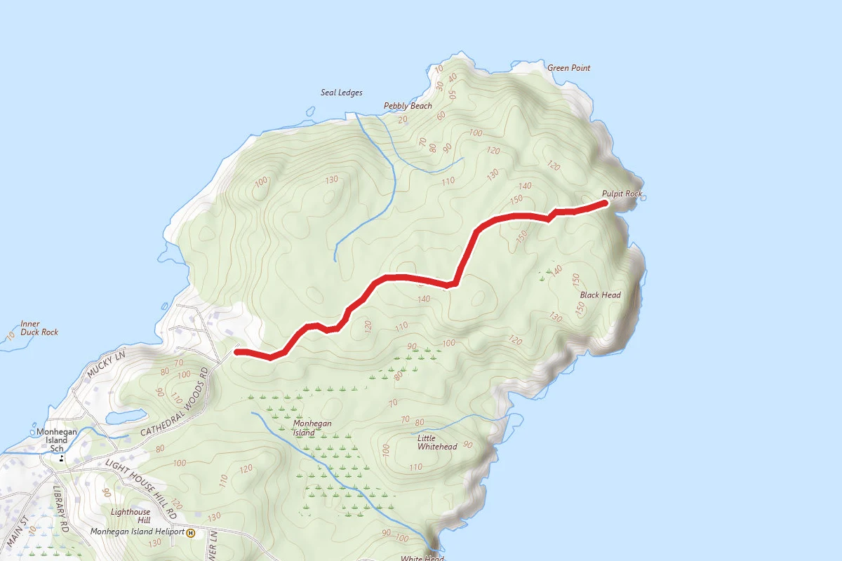 Black Head Trail to Station Hill Trail