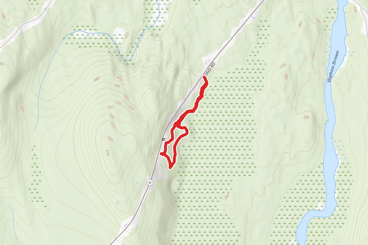 Deer and Beaver Trails