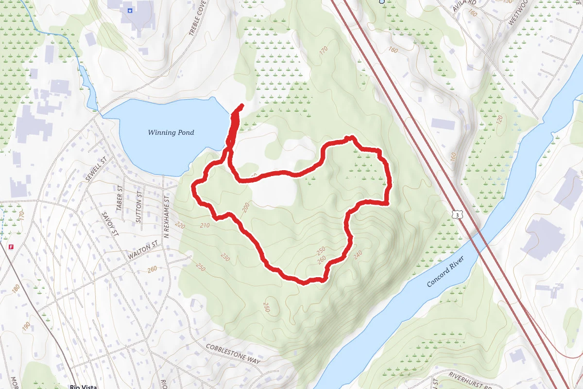 Beaver Pond to Green and Yellow Loop