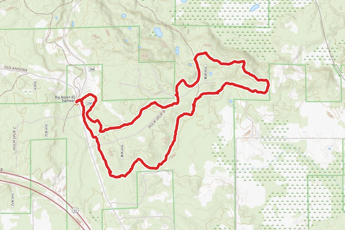 Big Aspen Trail