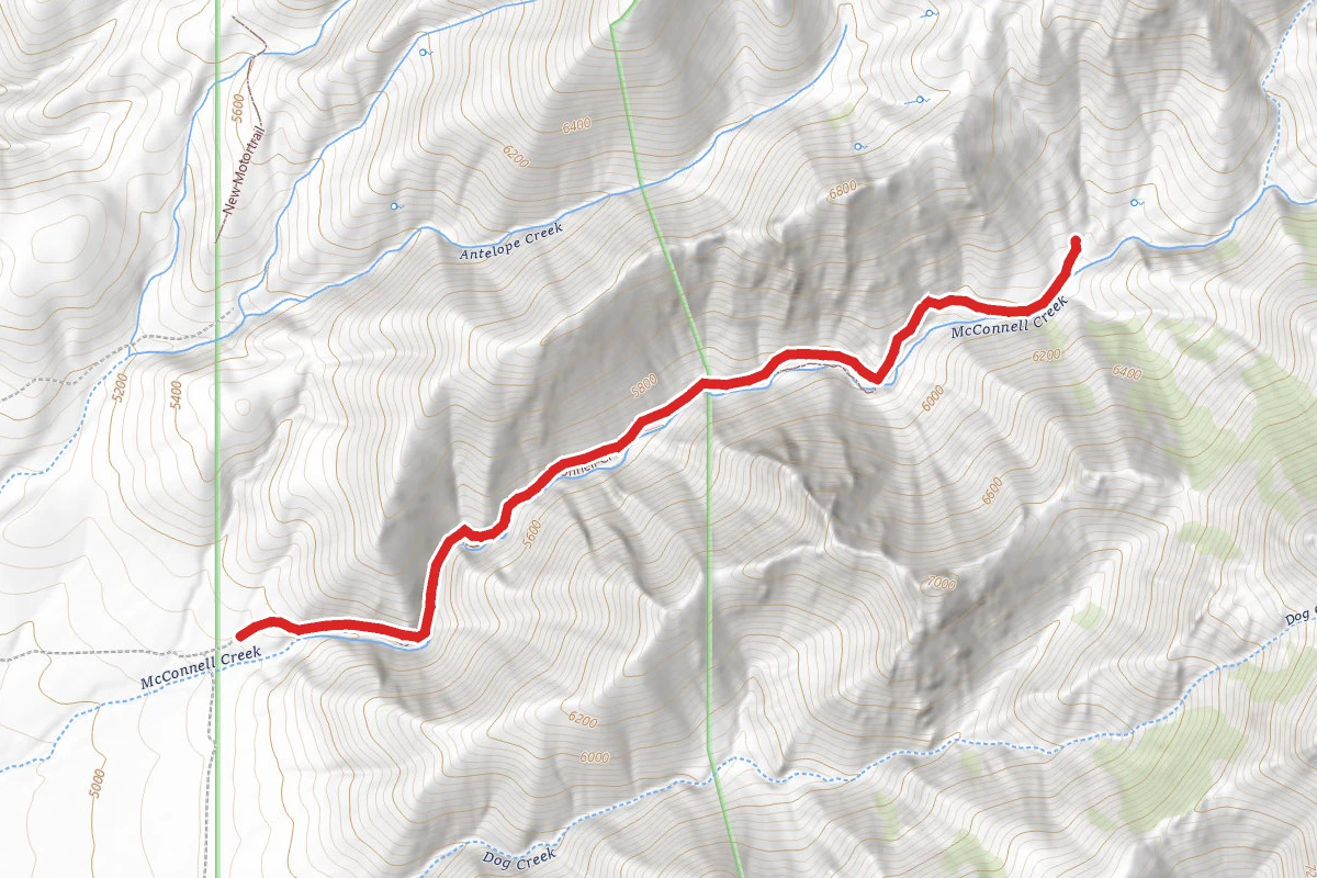 McConnell Creek Trail