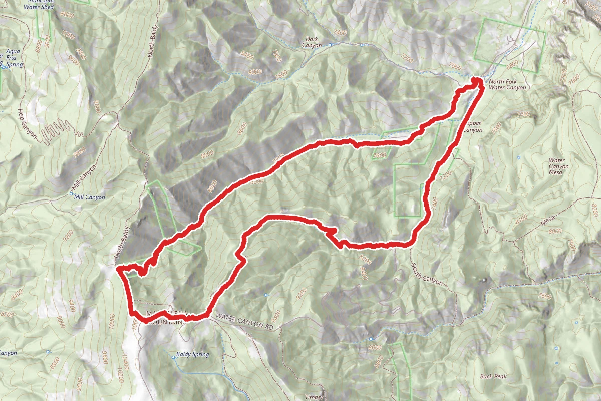 South Baldy via Copper Canyon
