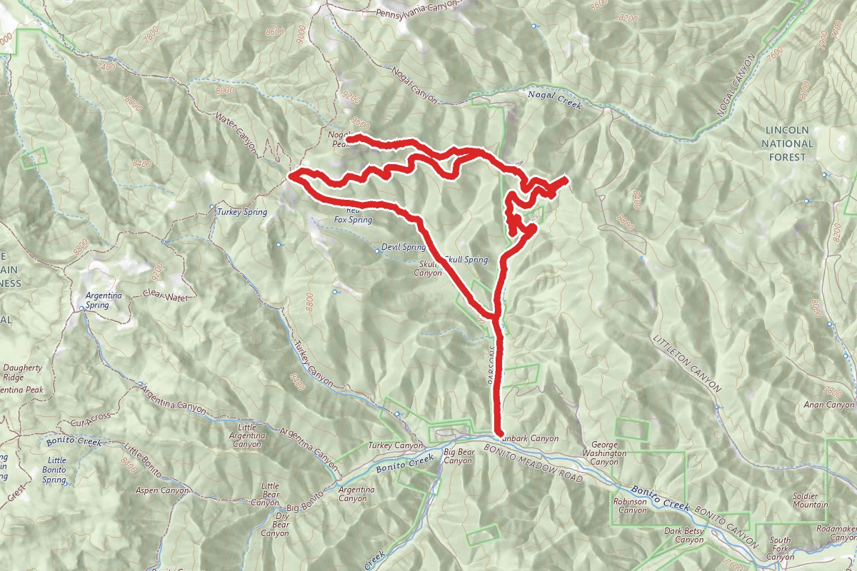 Nogal Peak Loop via Skull Springs Trail #41
