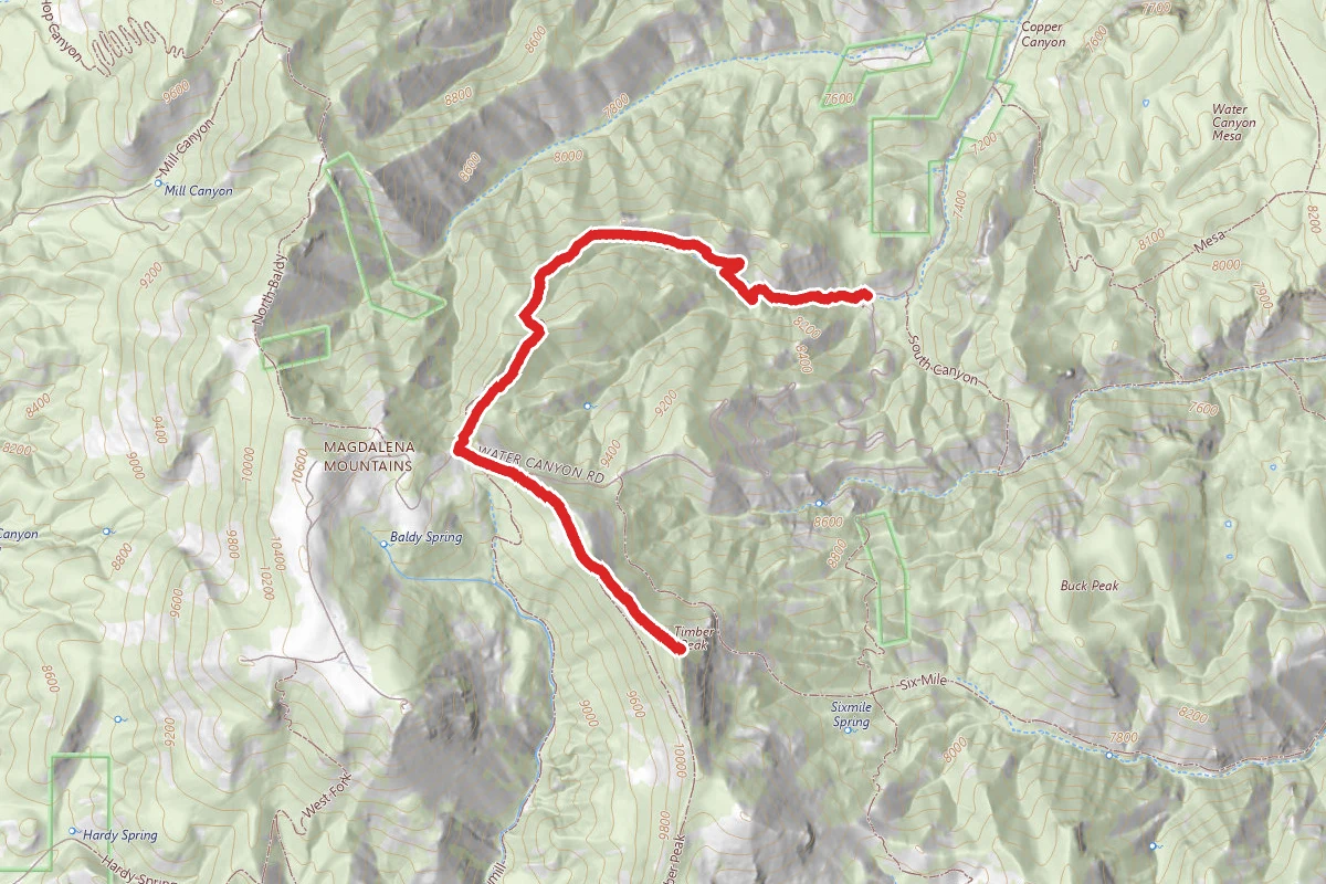 Timber Peak via South Baldy Trail #1