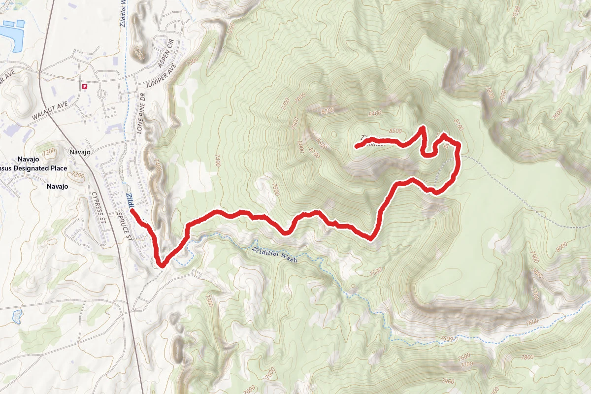 Zilditloi Mountain Trail