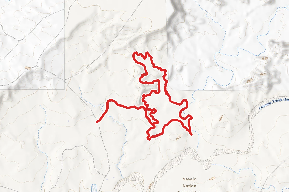 Lybrook Fossil Area