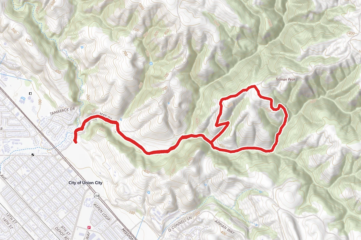 May Trail to High Ridge Loop to Tolman Peak Trail to South Fork to Tolman Peak Trail Loop
