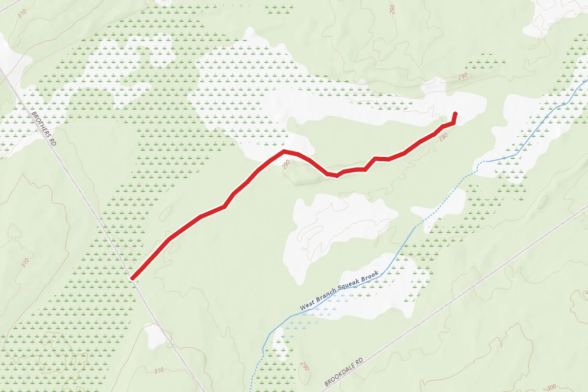 Brothers Road Trail
