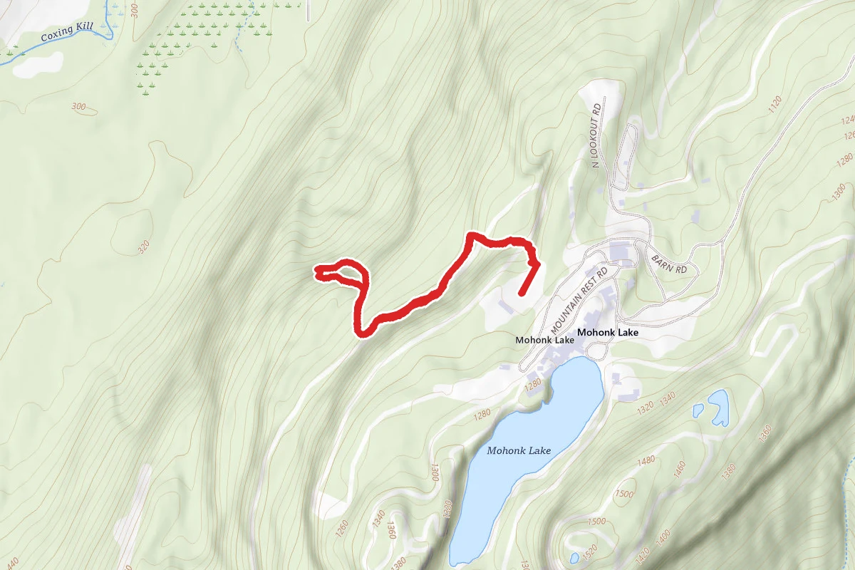 Zaidee's Path