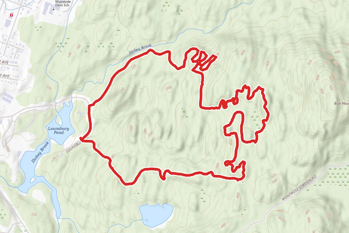 Stinger, Bailey's, Limbo Loop