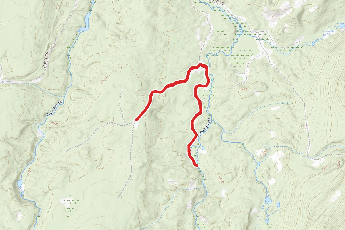 Wolf Pond Road