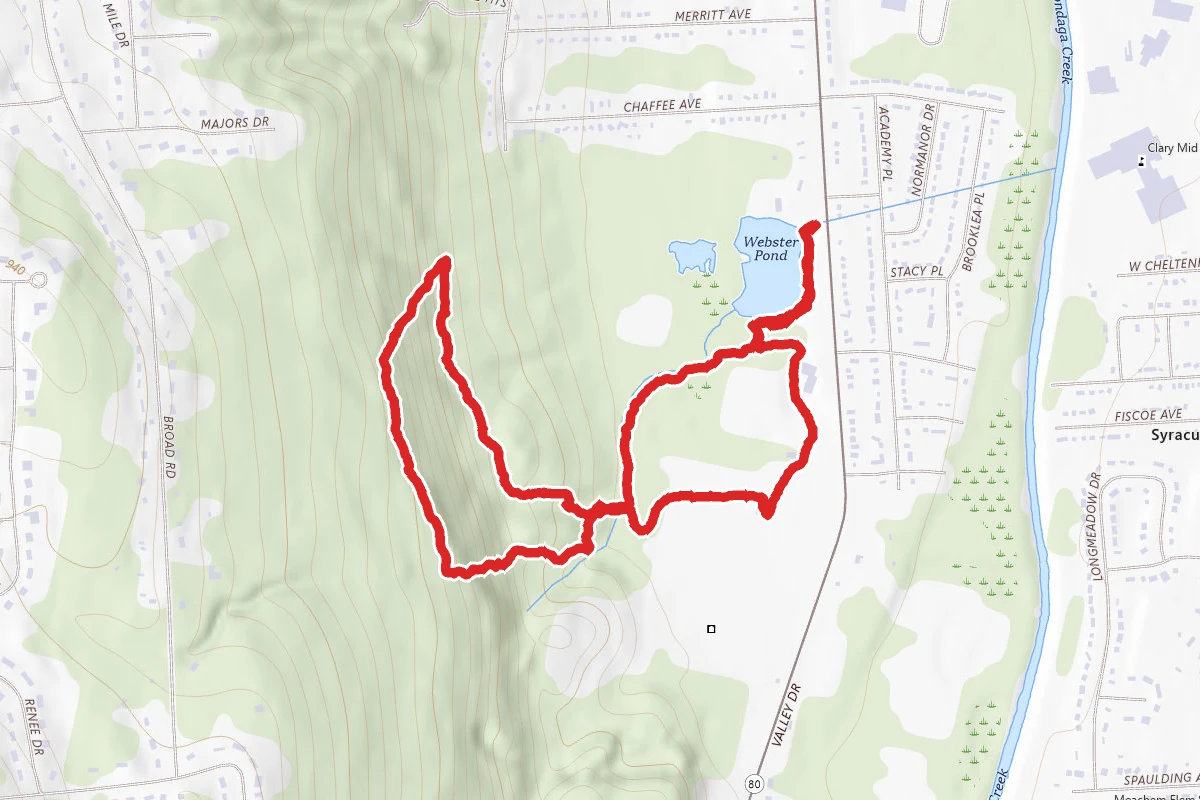 Webster Pond and Rand Tract