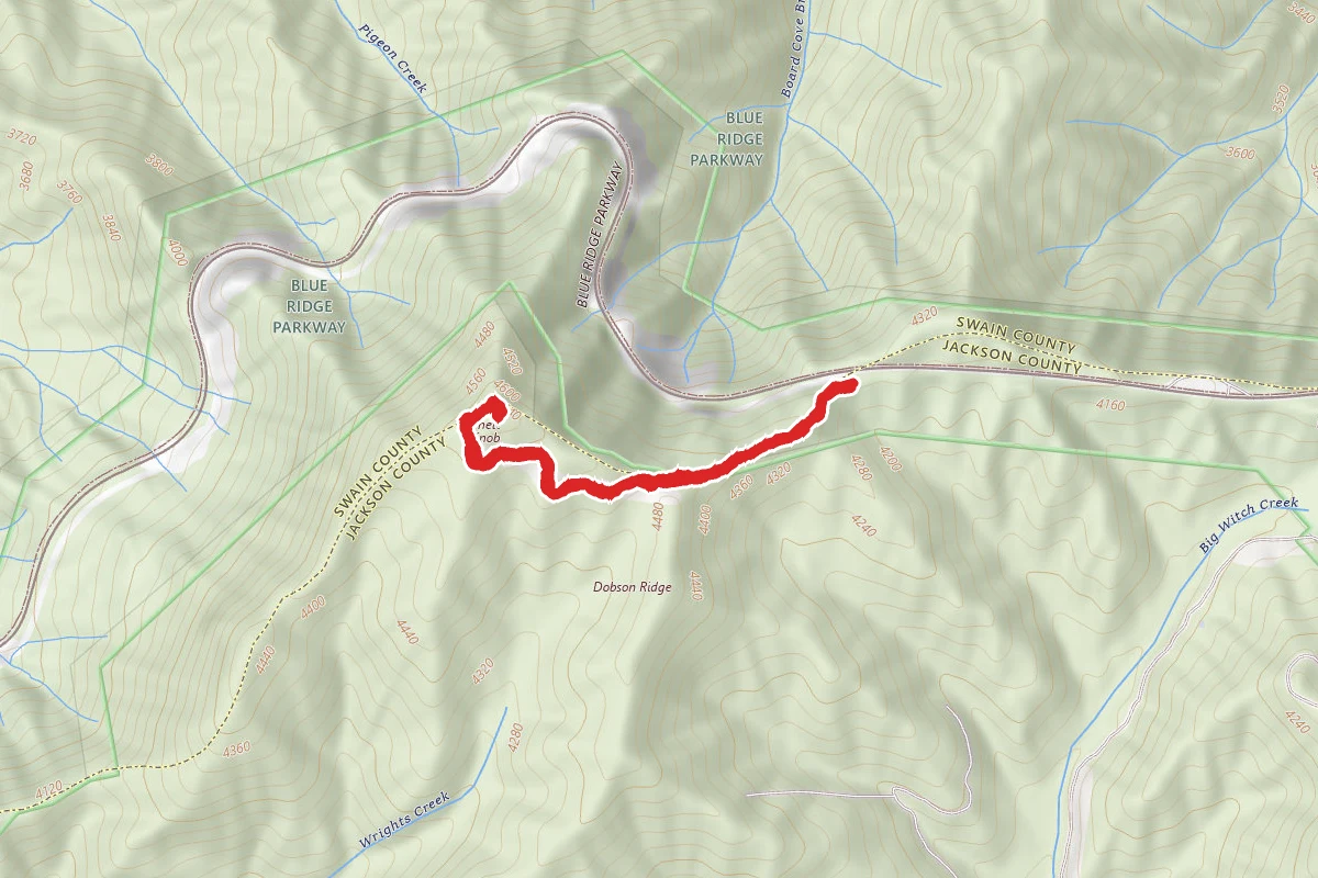 Barnett Knob Firetower