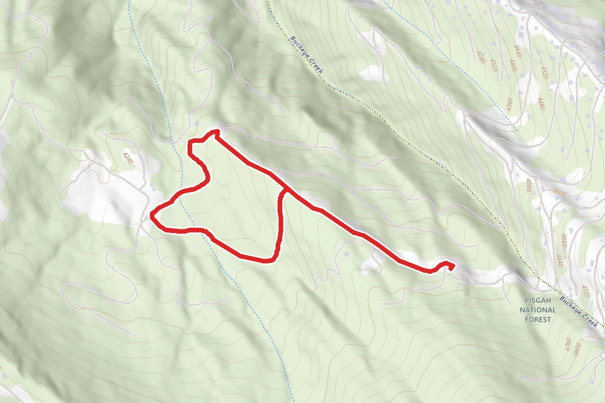 West Bowl Loop Trail