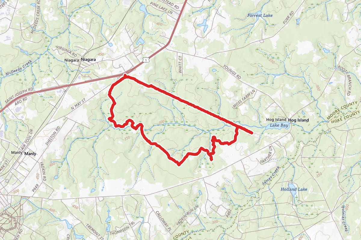 Walthour Moss Reserve Loop