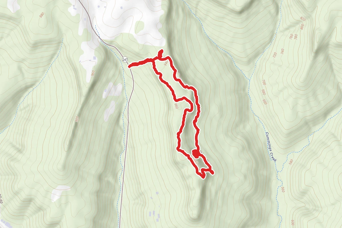 Twinleaf Trail