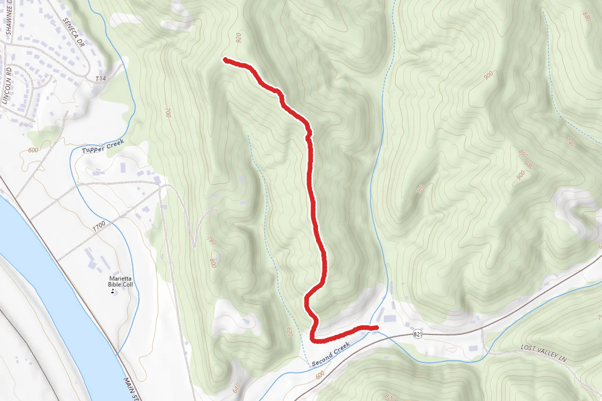 Broughton Green Trail