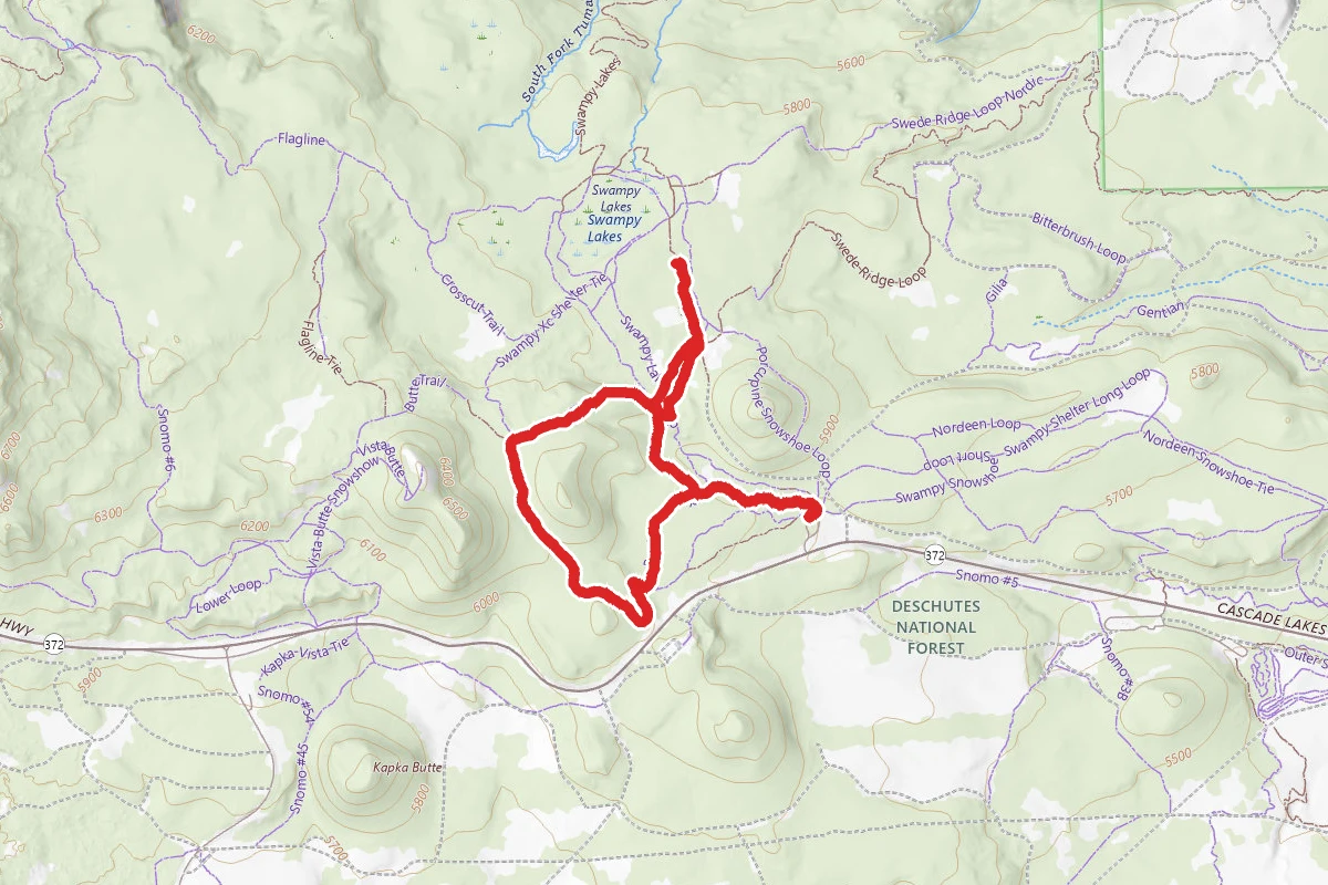 Swampy Dutchman Trail #40 and Ridge Loop